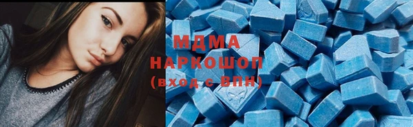 стаф Алзамай