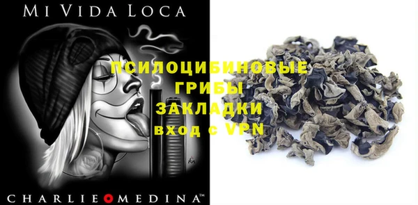 гашик Алексеевка