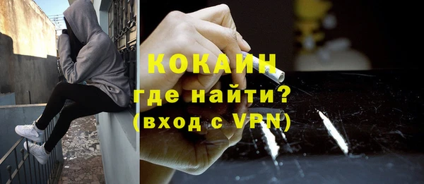 ешки Алексин