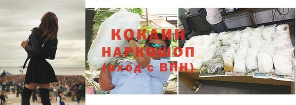 стаф Алзамай