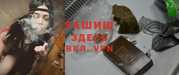 стаф Алзамай
