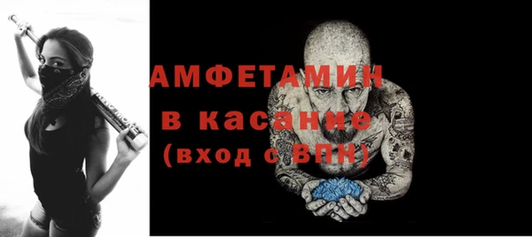 стаф Алзамай