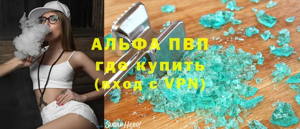 гашик Алексеевка