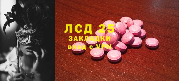 стаф Алзамай