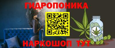 мяу мяу мука Нарткала