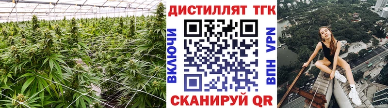 где купить наркотик  Асино  Дистиллят ТГК вейп 