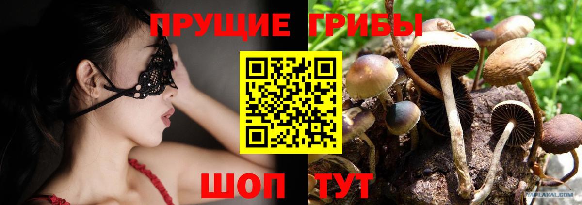 Асино  Галлюциногенные грибы GOLDEN TEACHER  Вход с VPN  Псилоцибиновые грибы прущие грибы 
