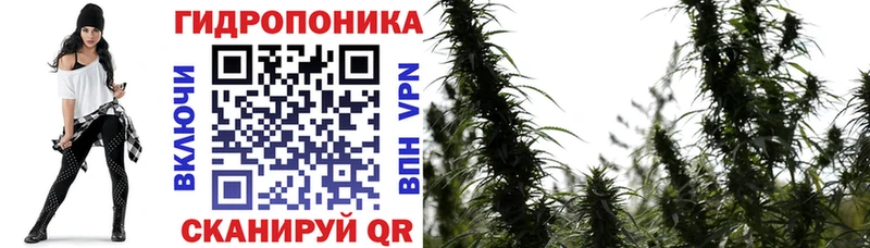 сайты даркнета какой сайт Асино Шишки марихуана сатива
